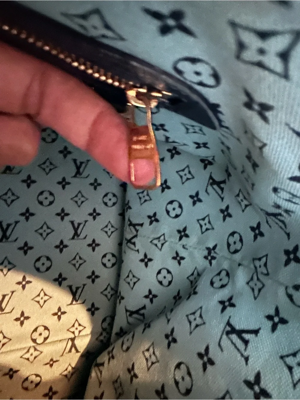 Louis Vuitton  Seaside Tote
